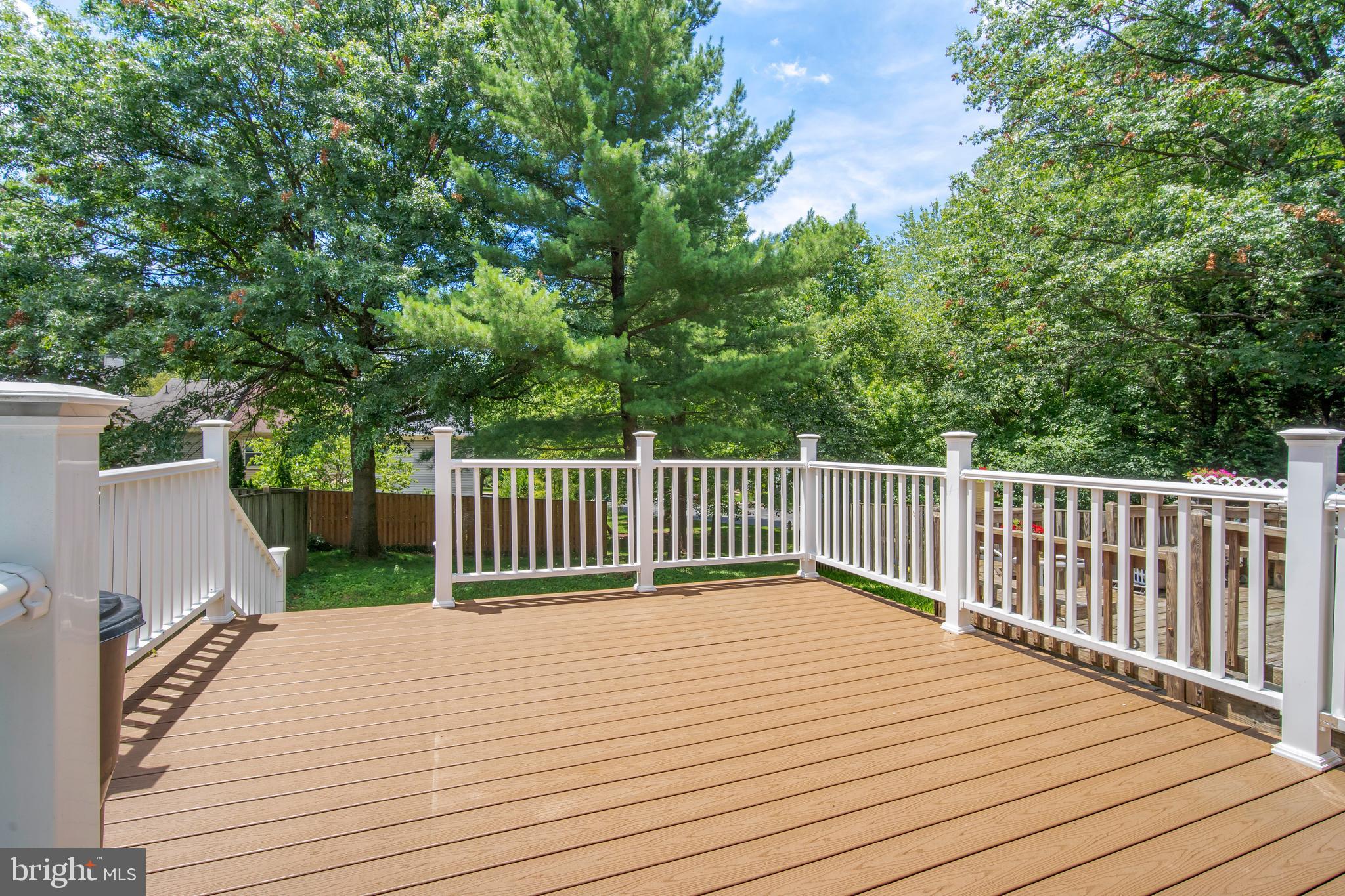 9105 Saffron Lane Silver Spring, MD 20901 - Photo 37 of 43 Nice and open with yard