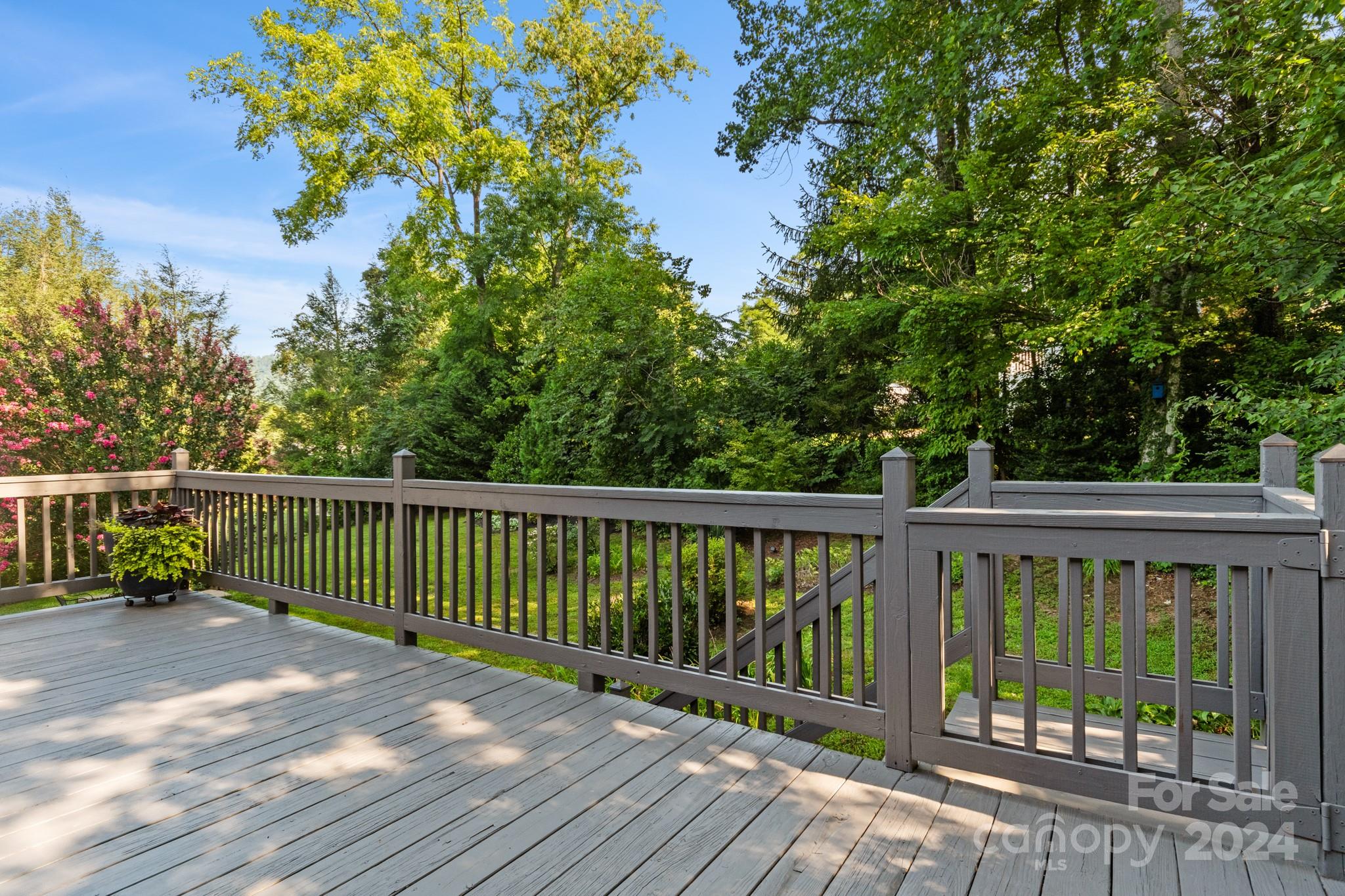 8 Pine Spring Drive Asheville, NC 28805 - Photo 38 of 48