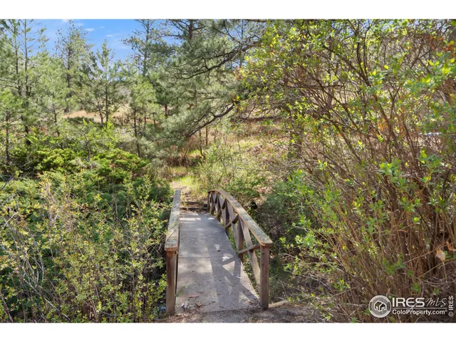 a view of a yard with trees
