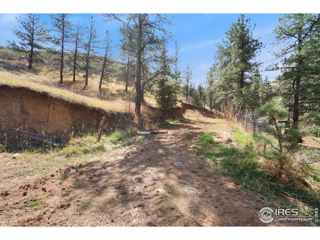 a view of a dry yard with trees