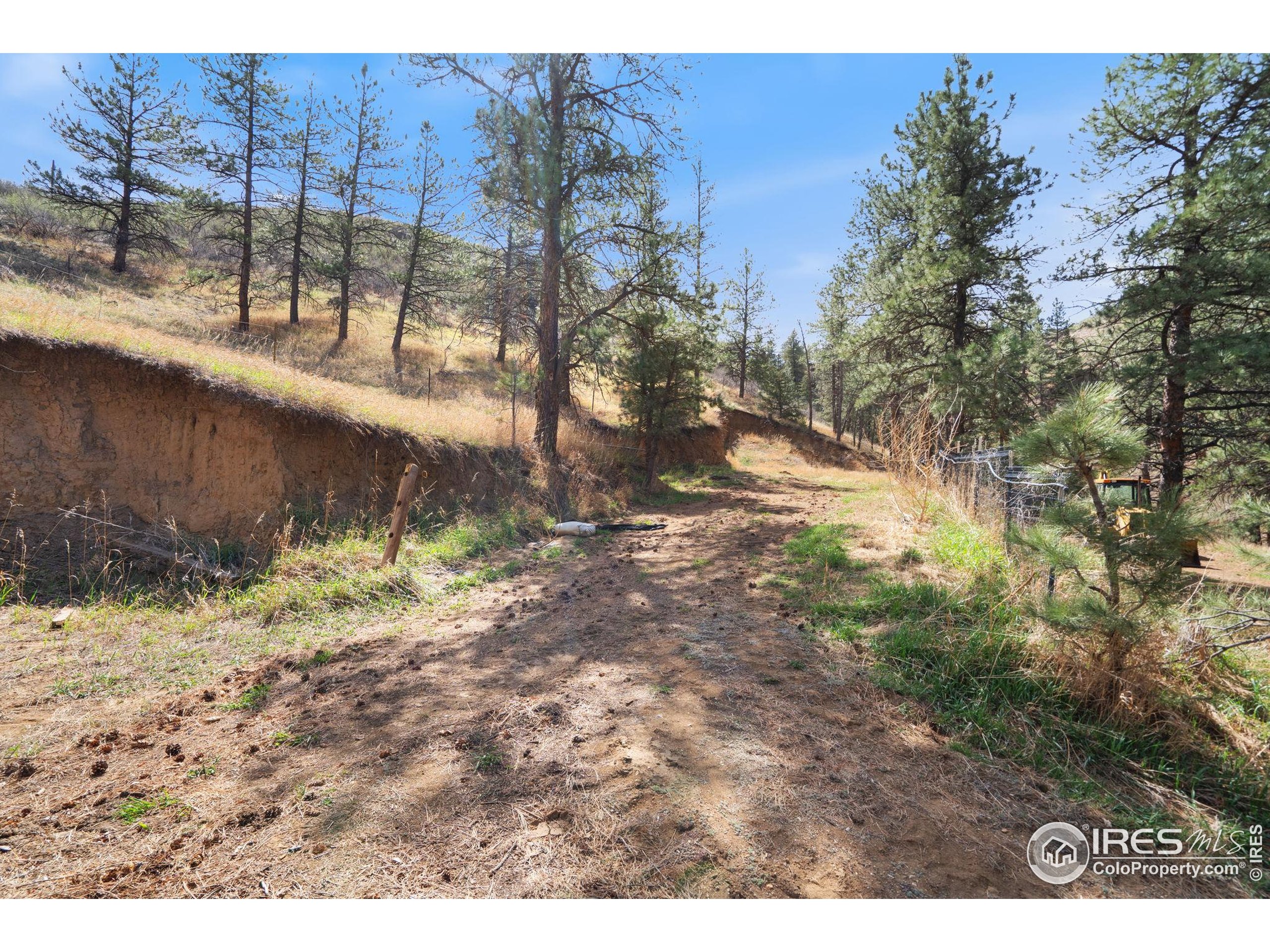7301 Poudre Canyon Road Bellvue, CO 80512 - Photo 31 of 41 a view of a yard with trees