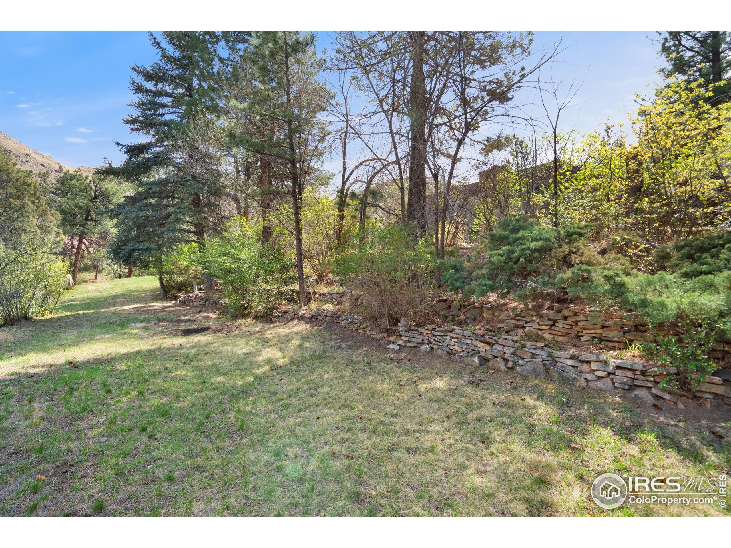 7301 Poudre Canyon Road Bellvue, CO 80512 - Photo 34 of 41 a view of outdoor space and trees