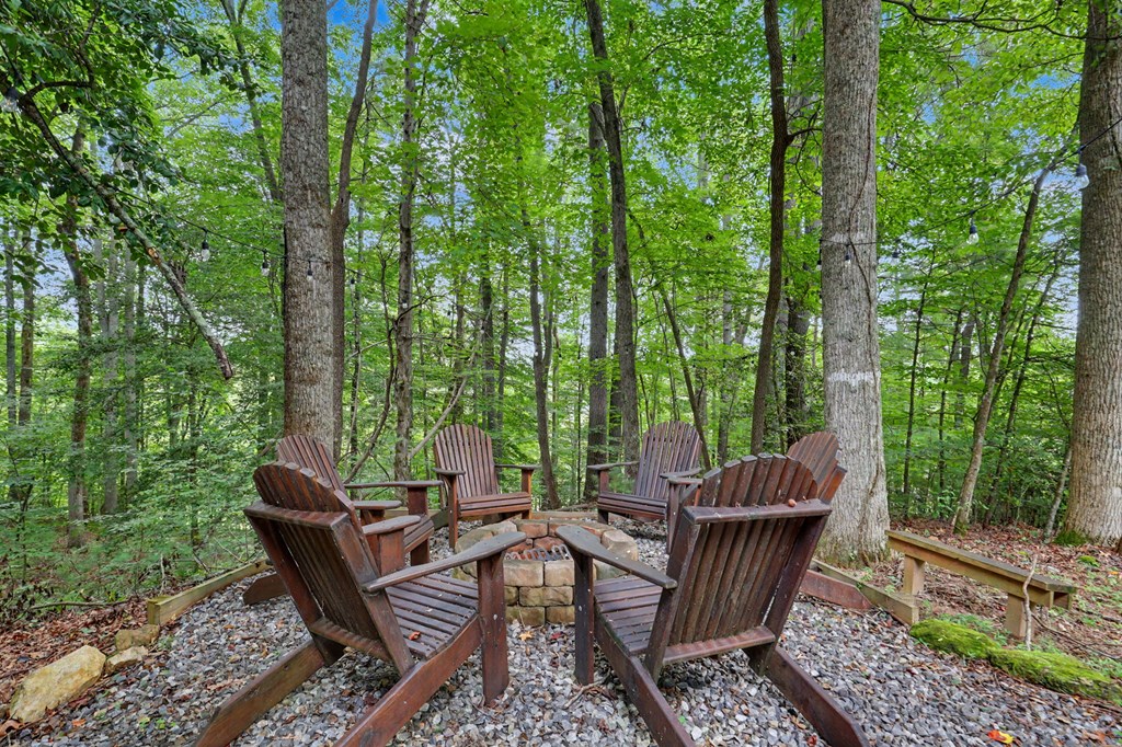 147 Midnight Road Blairsville, GA 30512 - Photo 53 of 60 Gallery Image 53