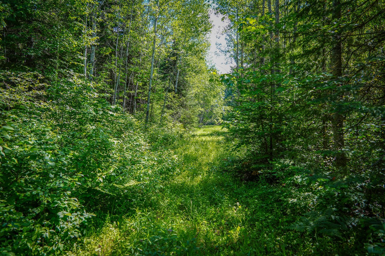South North Hulbert Road Eckerman, MI 49728 - Photo 20 of 29