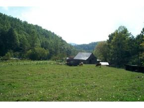 413 Poor Valley Road Rogersville, TN 37857 - Photo 4 of 5 Photo 4
