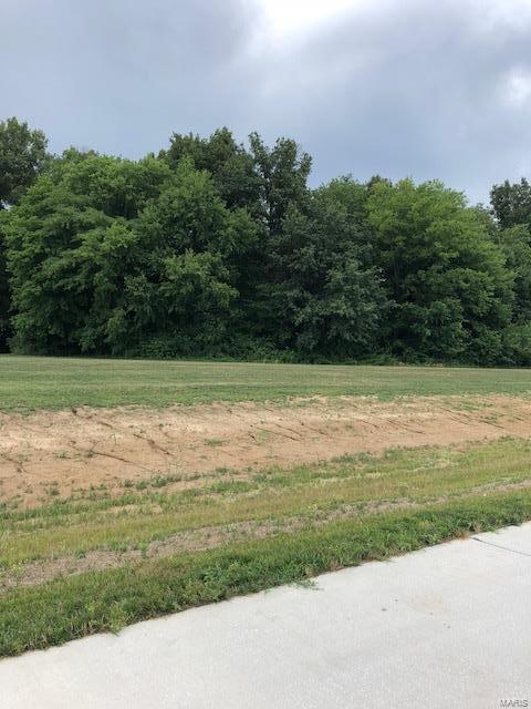2095 J Rock Road Trenton, IL 62293 - Photo 2 of 2