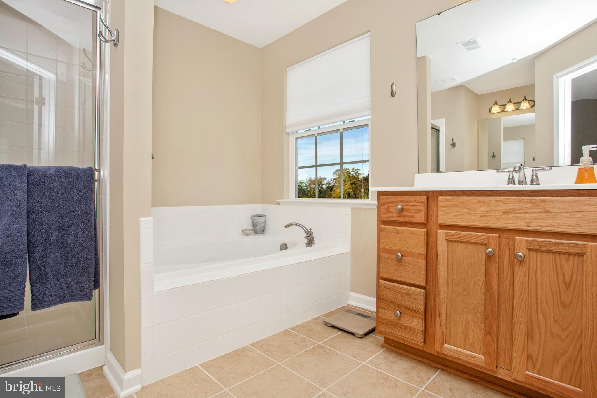 9110 Bealls Farm Road Frederick, MD 21704 - Photo 14 of 27 Bath (Master)