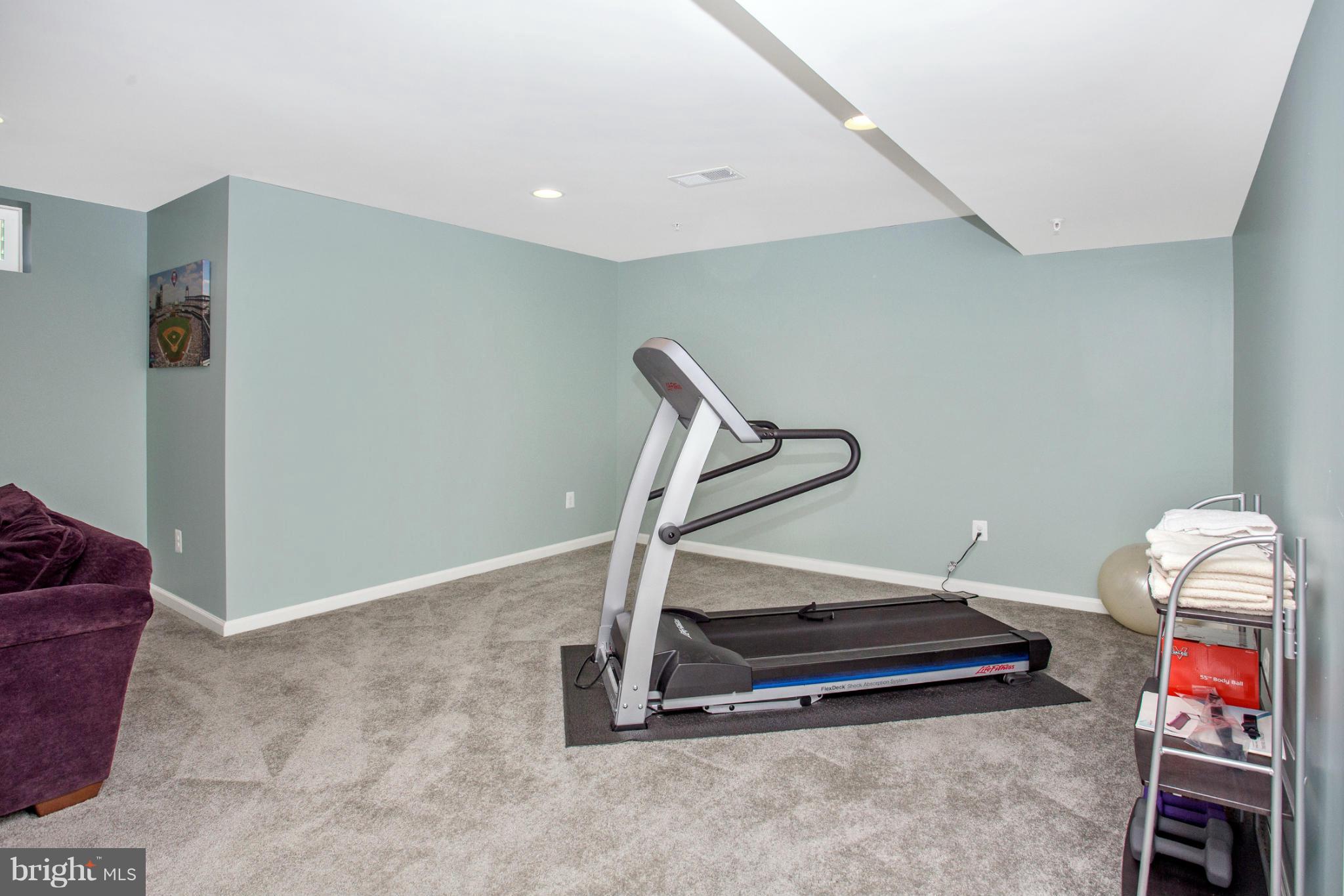 9110 Bealls Farm Road Frederick, MD 21704 - Photo 21 of 27 Basement