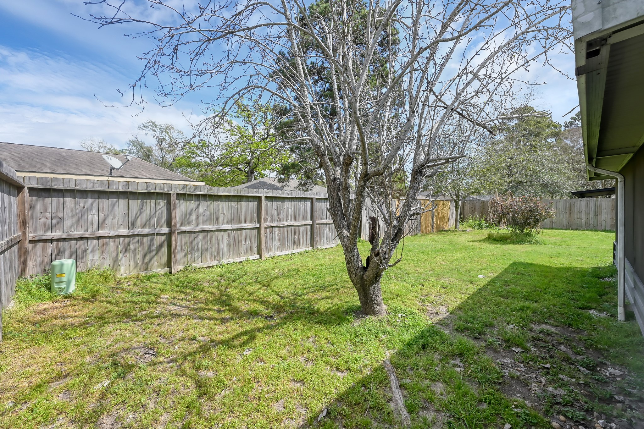 29206 Stapleford Street Spring, TX 77386 - Photo 21 of 22 a view of backyard with tree s