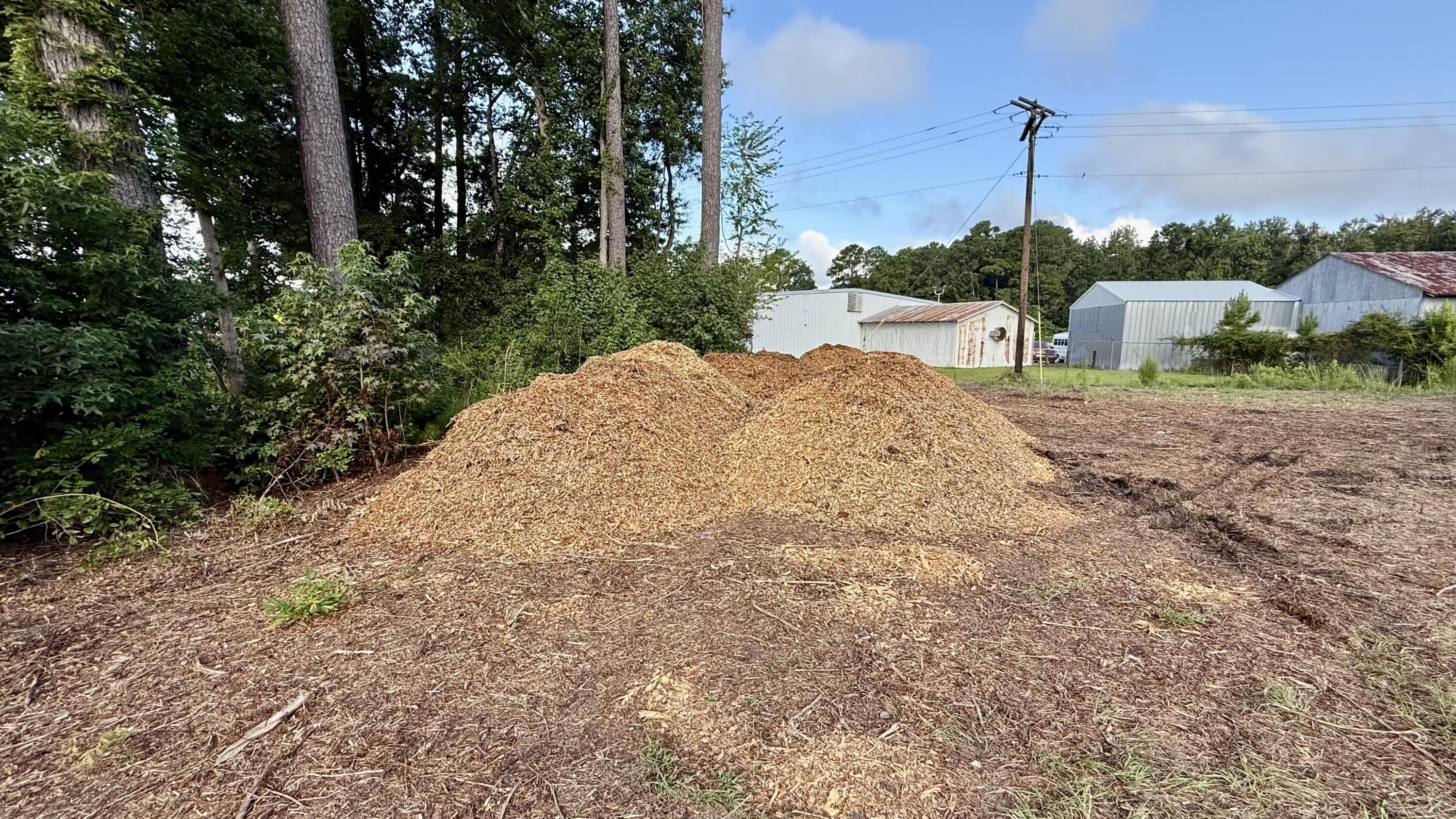 0 Whitesville Road Moncks Corner, SC 29461 - Photo 8 of 13 Cleared area
