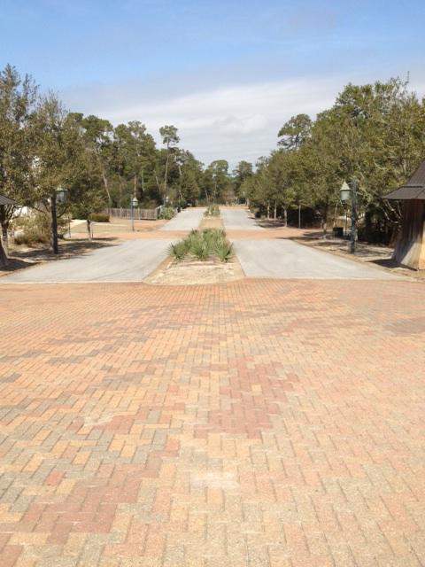 Lot 60 West Willow Mist Rd Inlet Beach Inlet Beach, FL 32461 - Photo 2 of 6 a view of yard with trees
