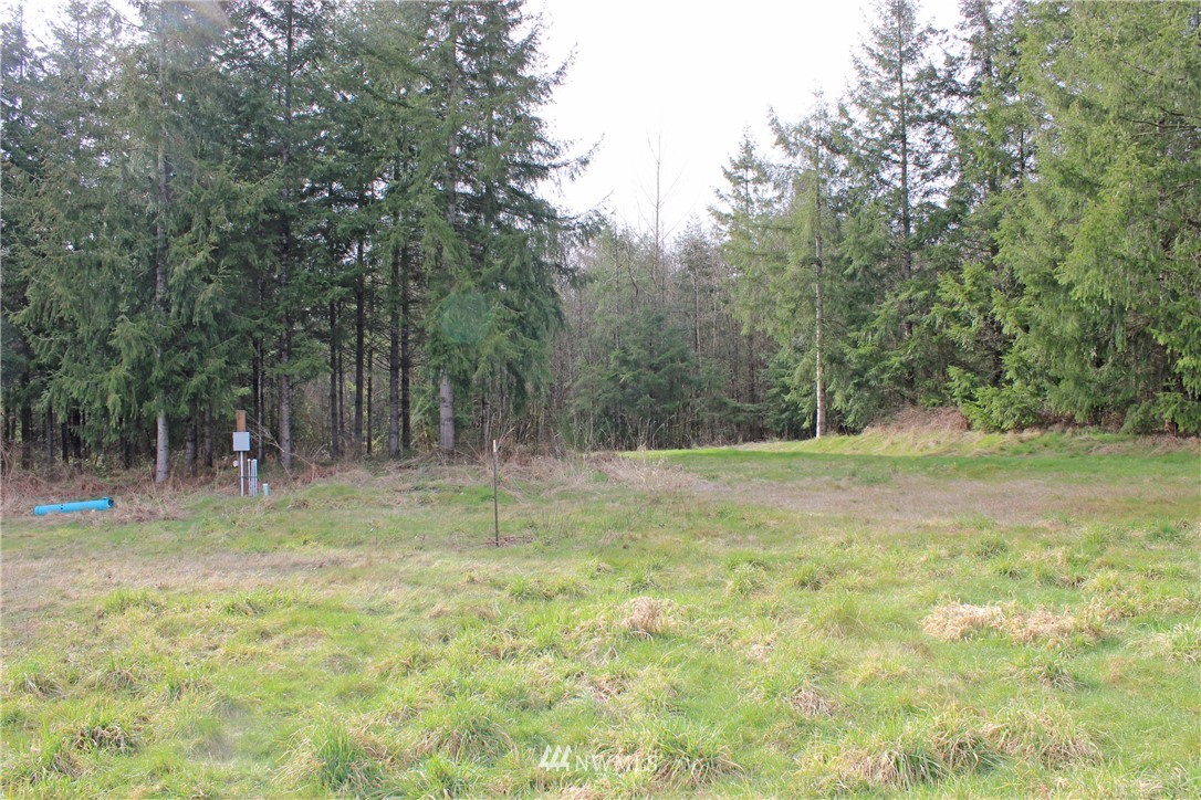 4420 Maytown Road Southwest Olympia, WA 98512 - Photo 14 of 26