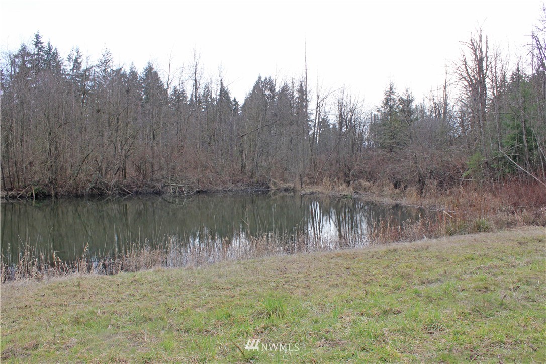 4420 Maytown Road Southwest Olympia, WA 98512 - Photo 17 of 26
