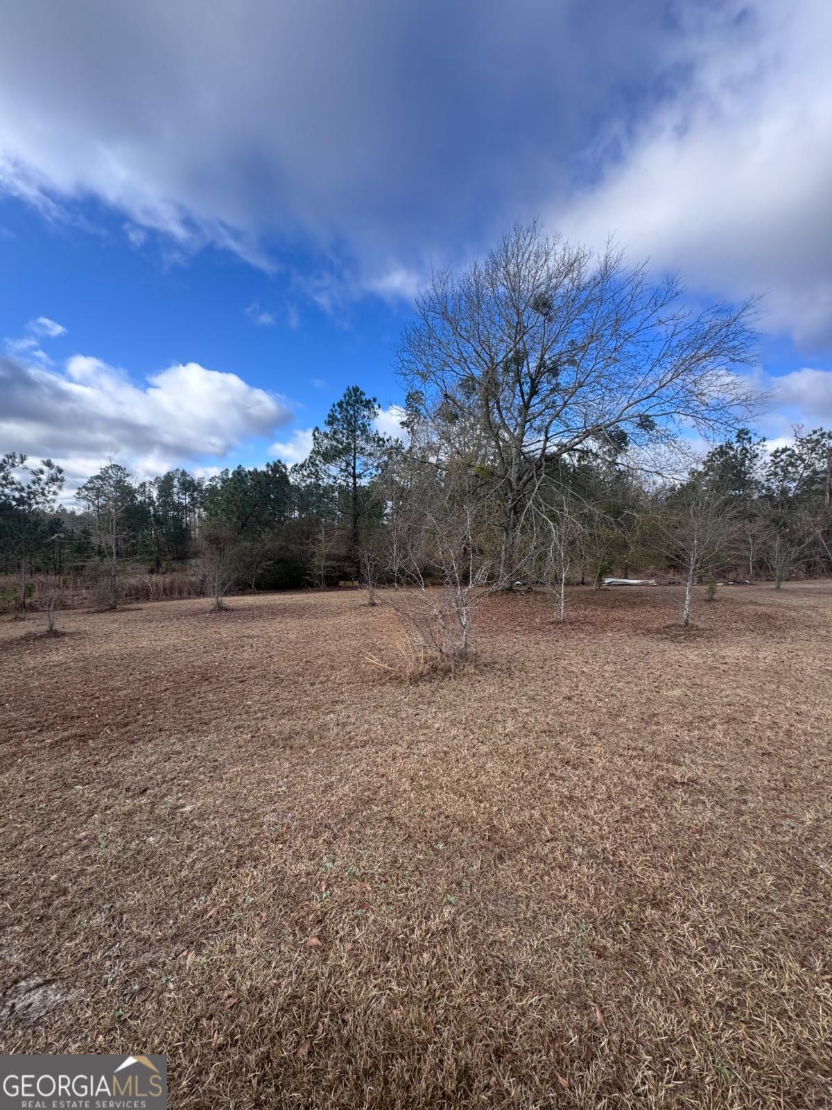 27 Ernest Carter Road Hazlehurst, GA 31539 - Photo 8 of 10