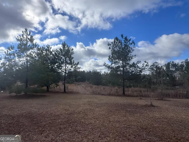 $99,000 | 27 Ernest Carter Road, Hazlehurst, GA 31539