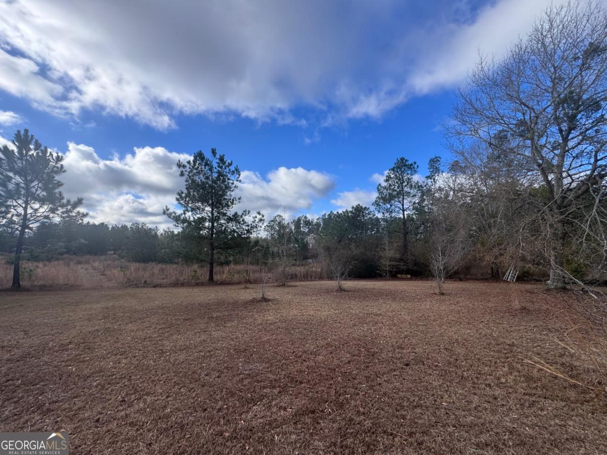 27 Ernest Carter Road Hazlehurst, GA 31539 - Photo 10 of 10