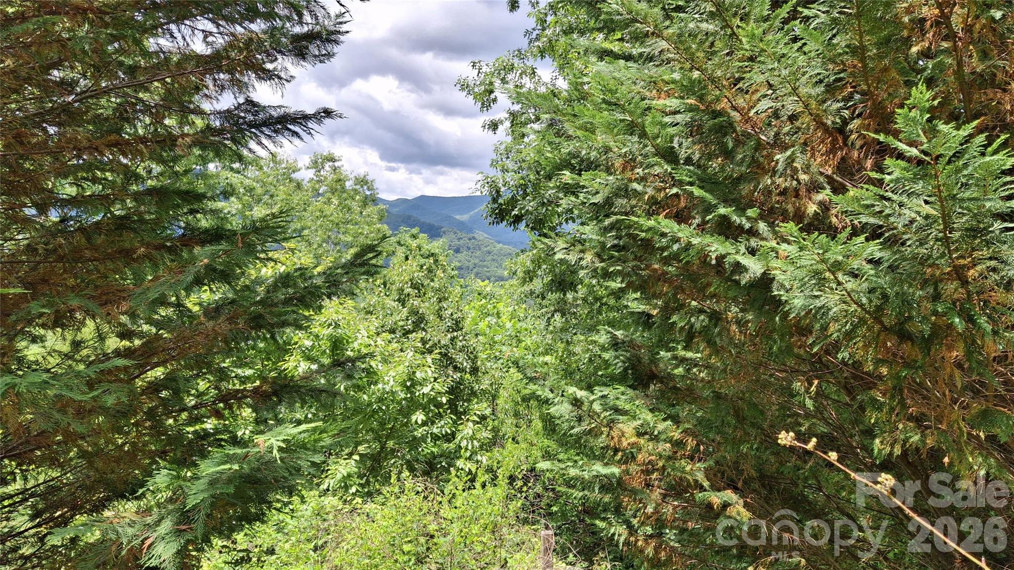491 Signal Ridge, Unit 25 Sylva, NC 28779 - Photo 5 of 17