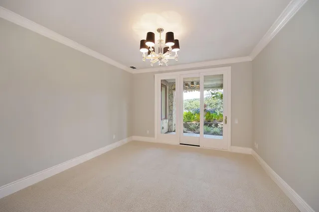 a view of a grassy field with trees