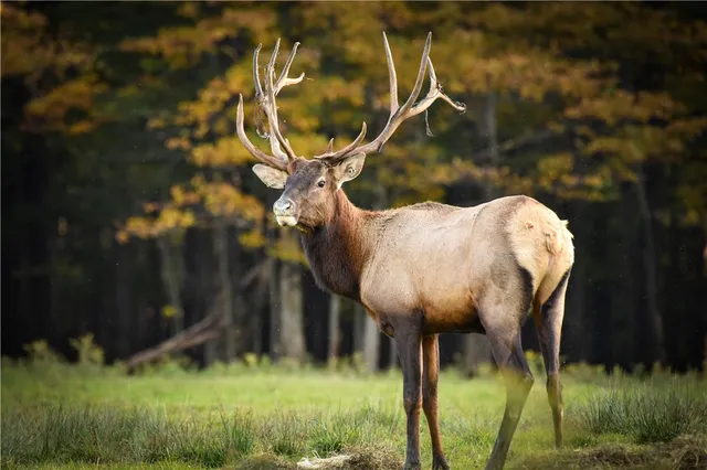 $699,900 | 2070 Watkins Road, Sempronius, NY 13118