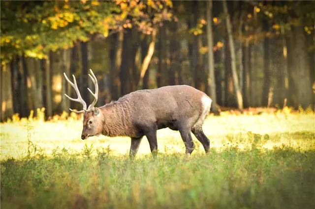 $699,900 | 2070 Watkins Road, Sempronius, NY 13118