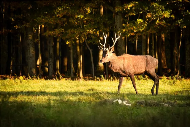 $699,900 | 2070 Watkins Road, Sempronius, NY 13118