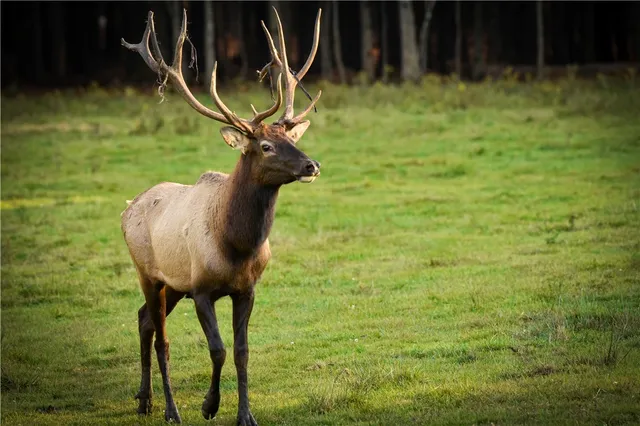 $699,900 | 2070 Watkins Road, Sempronius, NY 13118