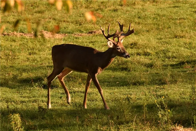 $699,900 | 2070 Watkins Road, Sempronius, NY 13118