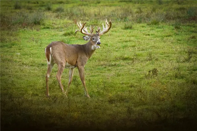 $699,900 | 2070 Watkins Road, Sempronius, NY 13118