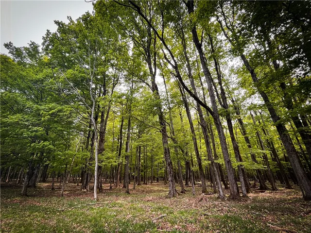 $699,900 | 2070 Watkins Road, Sempronius, NY 13118