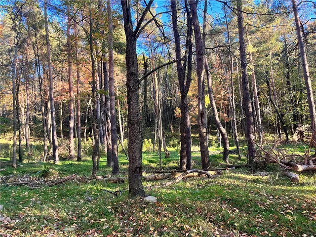 $699,900 | 2070 Watkins Road, Sempronius, NY 13118