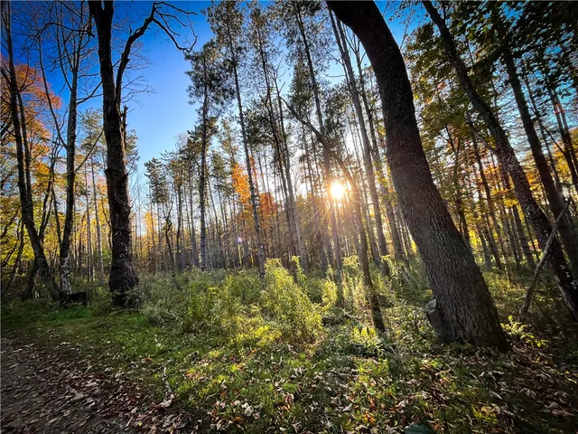 $699,900 | 2070 Watkins Road, Sempronius, NY 13118