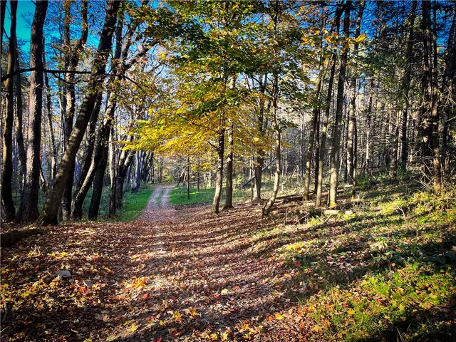 $699,900 | 2070 Watkins Road, Sempronius, NY 13118