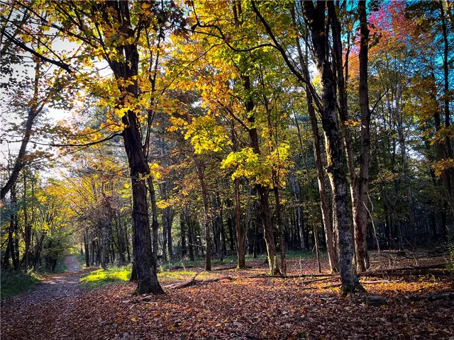 $699,900 | 2070 Watkins Road, Sempronius, NY 13118