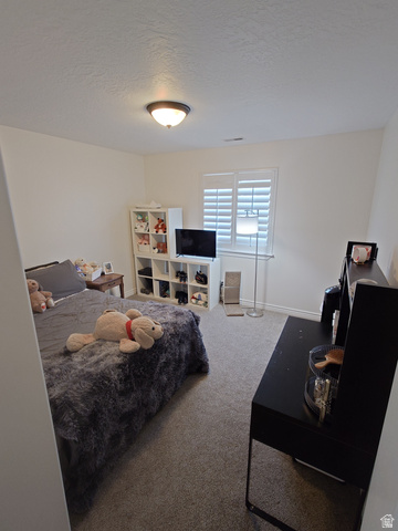 552 Sunset Crest Way Draper, UT 84020 - Photo 37 of 68 Bedroom featuring carpet and a textured ceiling