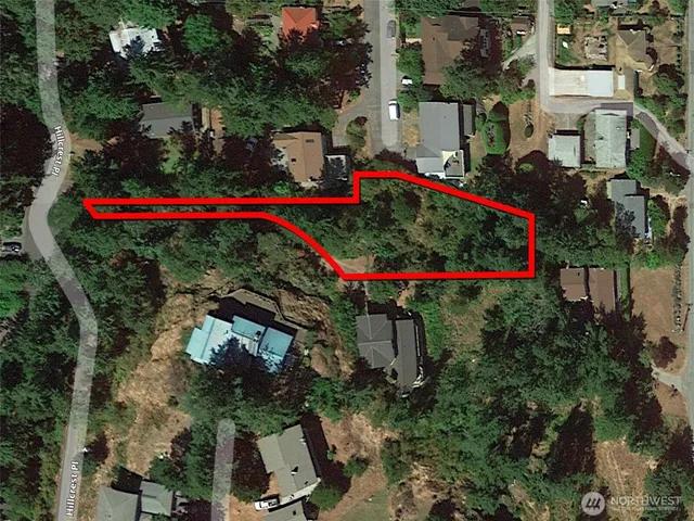 an outdoor space with lots of trees