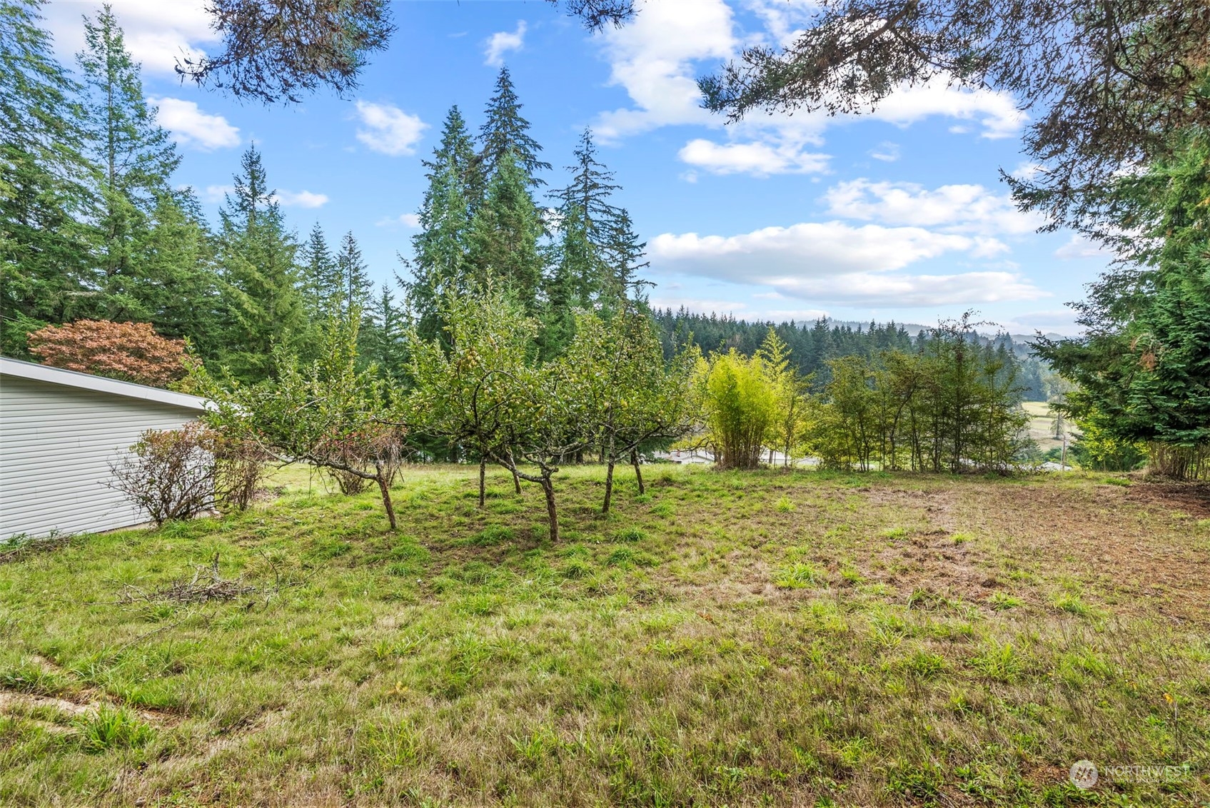 1902 Rose Valley Road Kelso, WA 98626 - Photo 13 of 24 Gallery Image 13