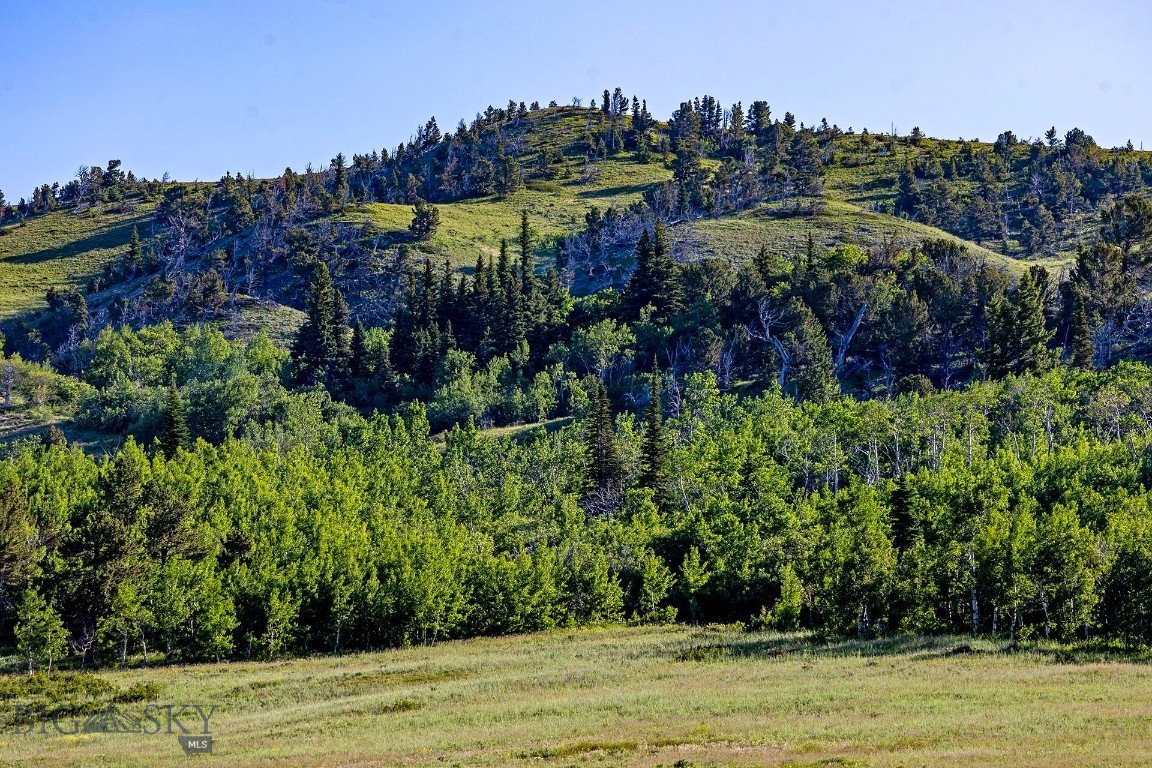 Tbd Tbd Cut Bank Road Browning, MT 59417 - Photo 39 of 47 Gallery Image 39