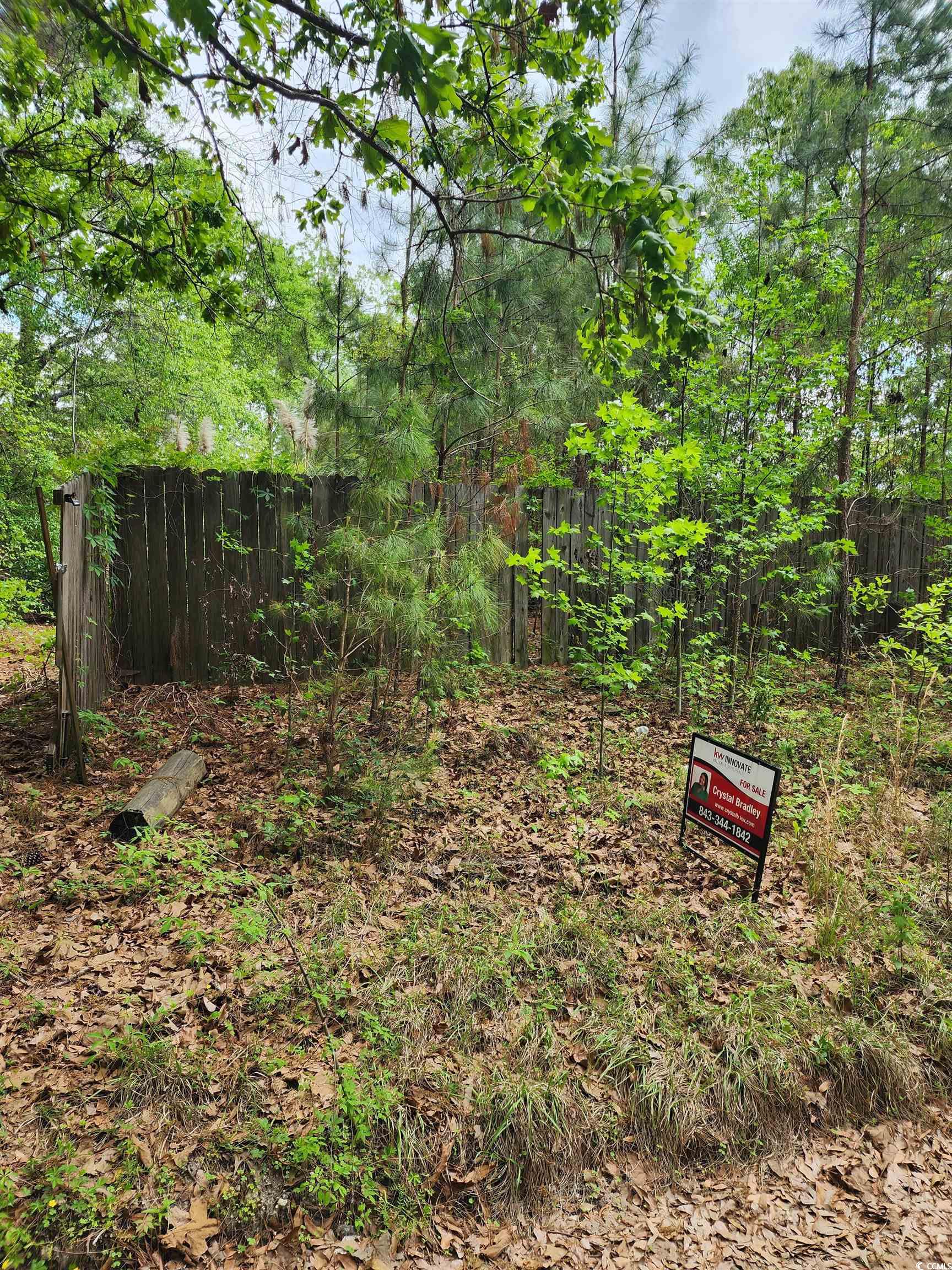 0 3rd Street Santee, SC 29142 - Photo 2 of 3 View of yard featuring a forest view and fence