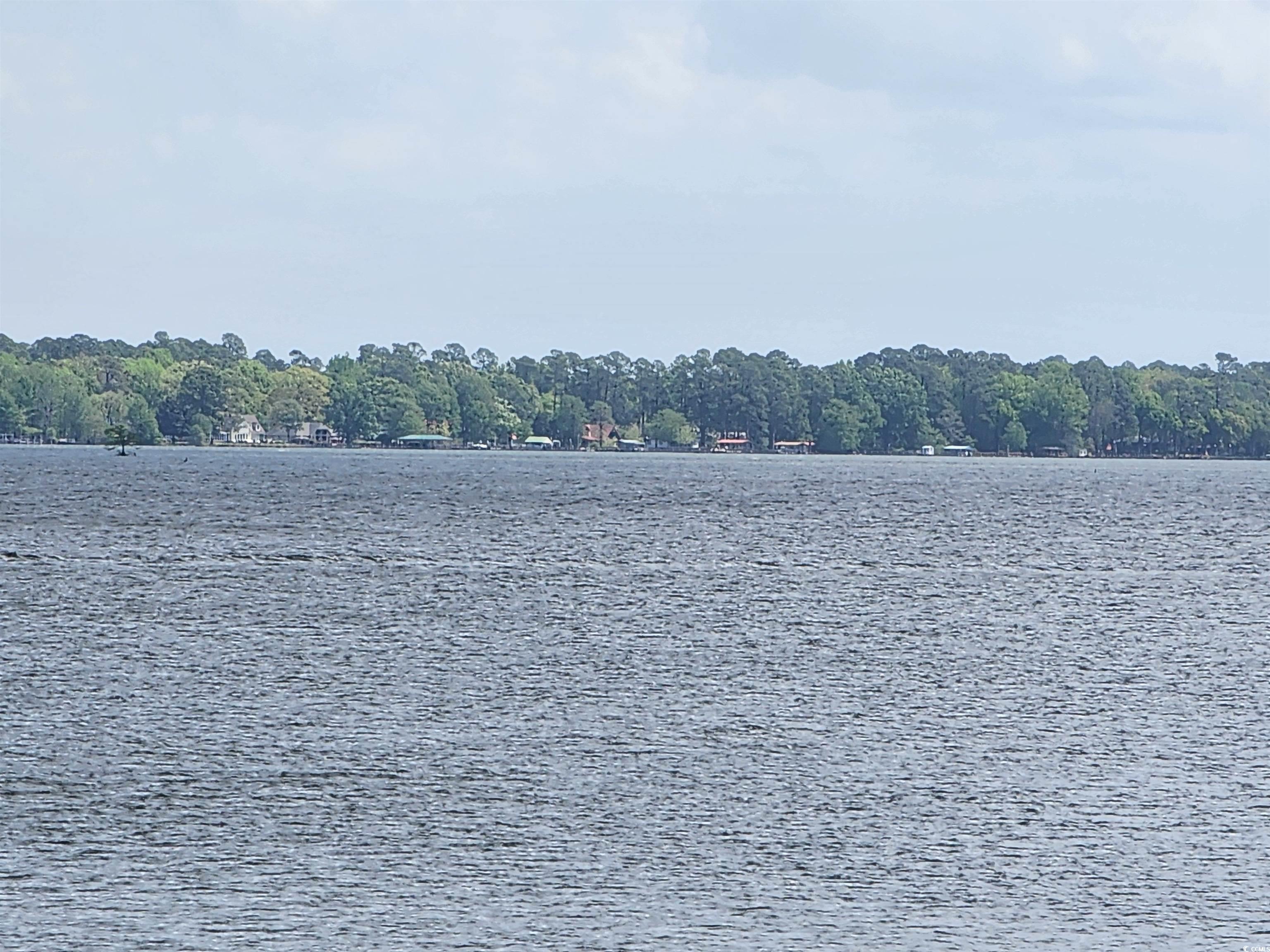 0 3rd Street Santee, SC 29142 - Photo 3 of 3 Water view with a wooded view