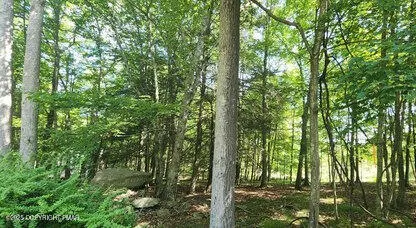 a view of outdoor space and trees