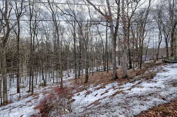 a backyard of a house with large trees