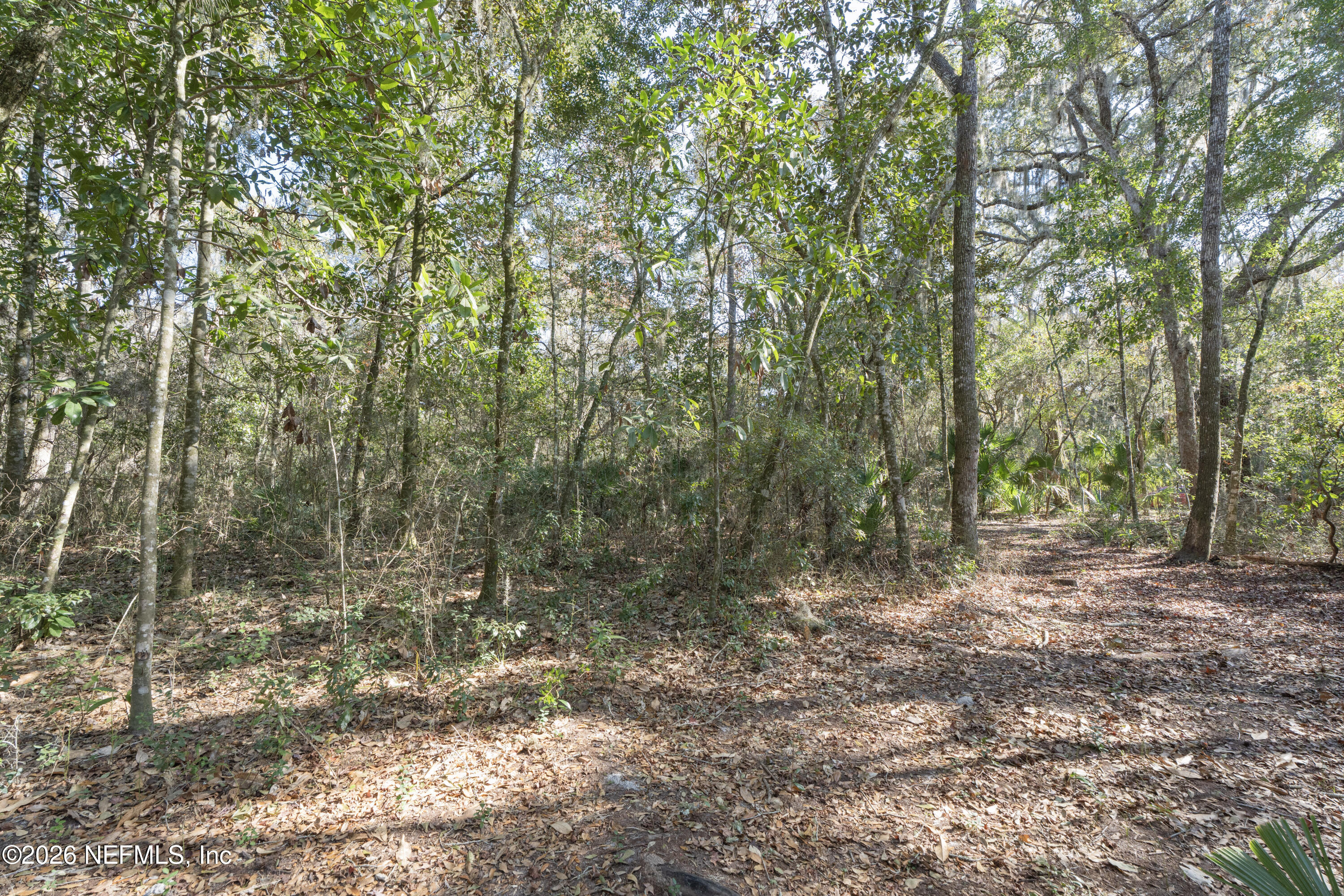 7 Pine Island Road St. Augustine, FL 32095 - Photo 11 of 15 Copy of Copy of STA05636