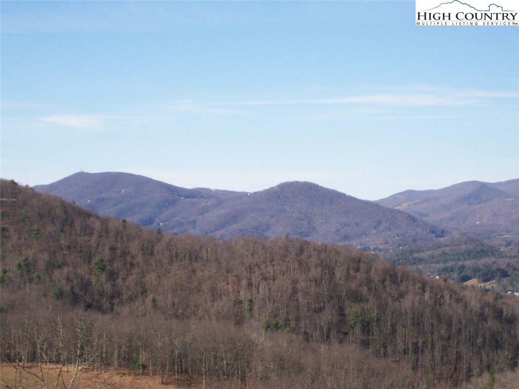 1228 Grandview Drive Extension Boone, NC 28607 - Photo 12 of 41 Gallery Image 12