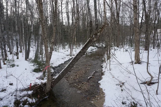 $99,500 | 1 Redding Road, Sumner, ME 04292