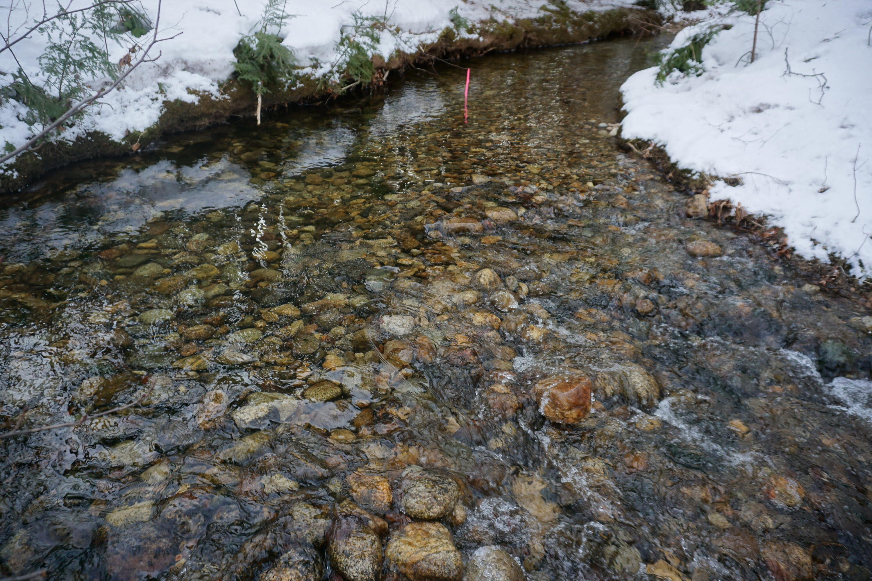 1 Redding Road Sumner, ME 04292 - Photo 5 of 21 DSC04760