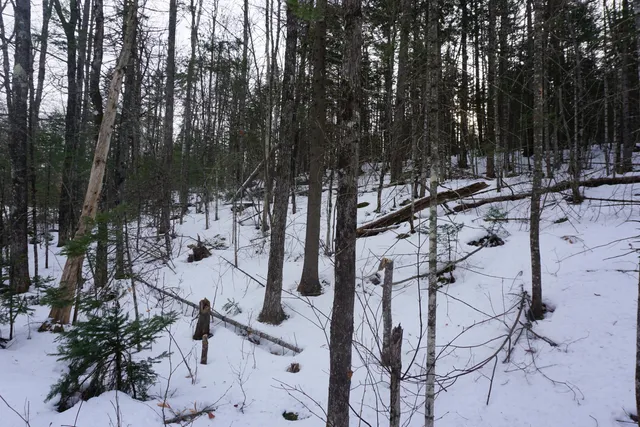 $99,500 | 1 Redding Road, Sumner, ME 04292