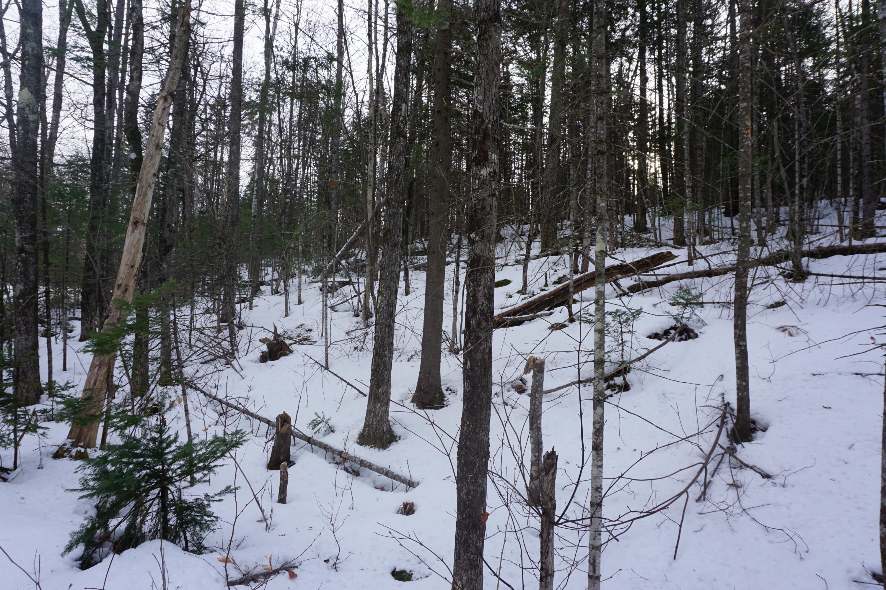 1 Redding Road Sumner, ME 04292 - Photo 10 of 21 DSC04756