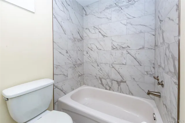 a bathroom with a toilet and a bathtub