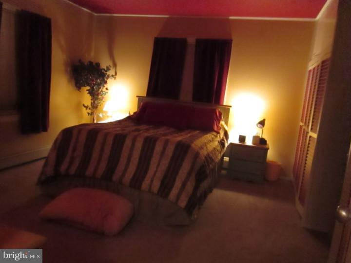 2 Steeplebush Road Levittown, PA 19056 - Photo 13 of 25 Master Bedroom