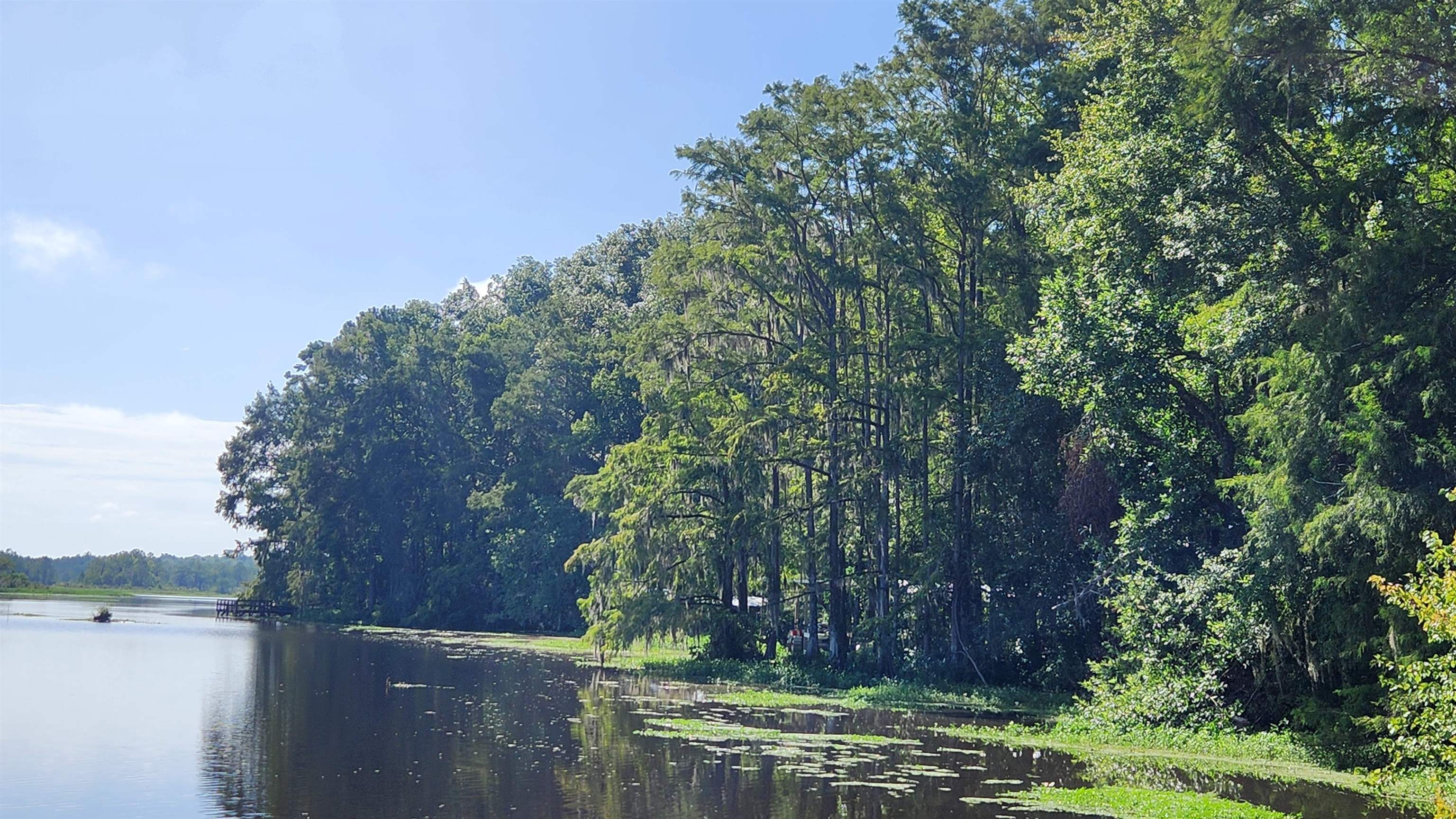 0 Coe Landing Road Tallahassee, FL 32310 - Photo 4 of 5 Gallery Image 4